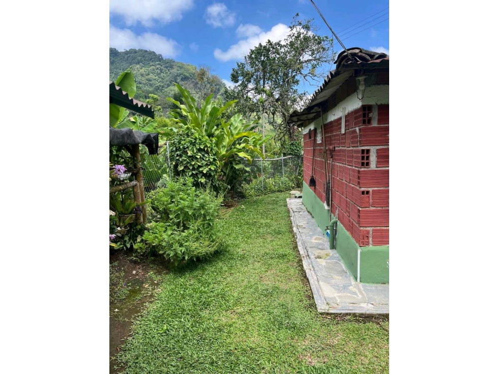 Venta de finca campestre en Marsella - 5