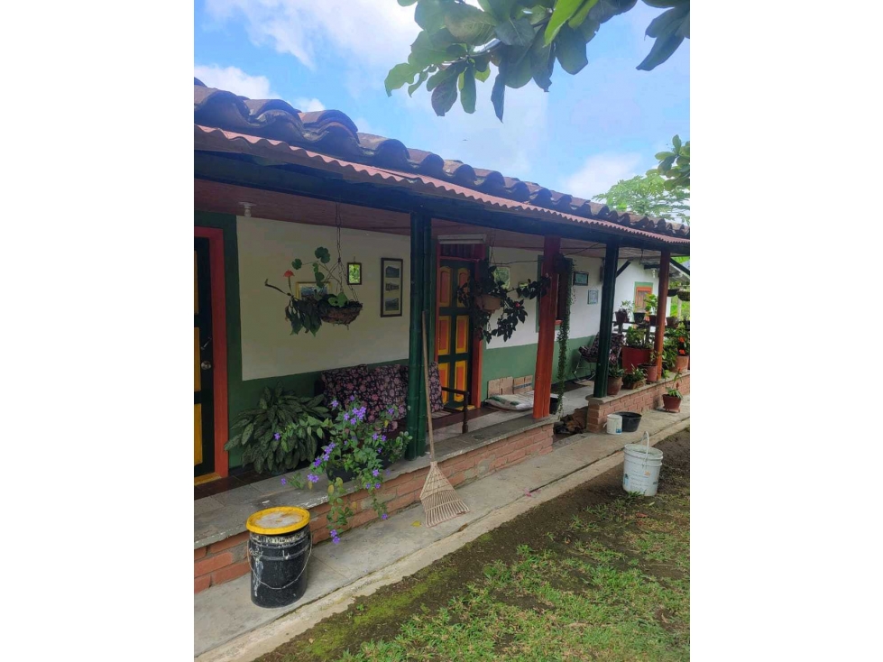 Venta de finca campestre en Marsella - 6