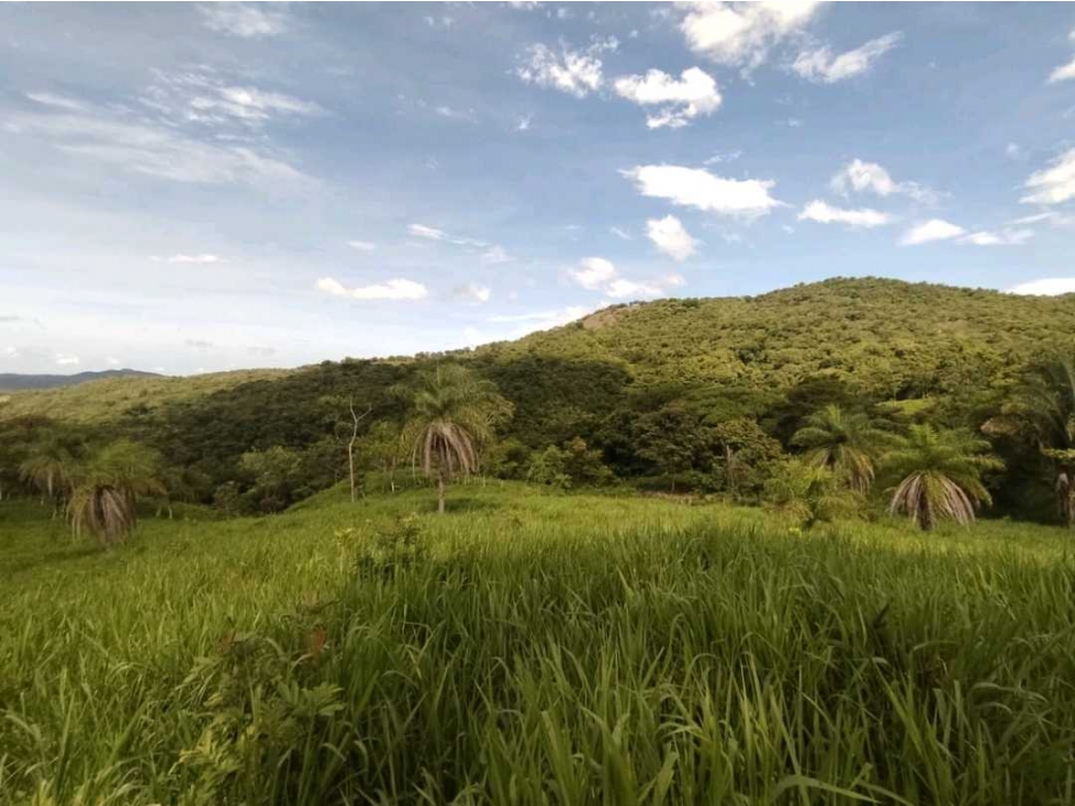 VENTA DE FINCA CERCA DE BOQUETE, 27 H + 6700 m2 — foto 2