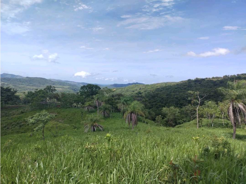 VENTA DE FINCA CERCA DE BOQUETE, 27 H + 6700 m2 — foto 3
