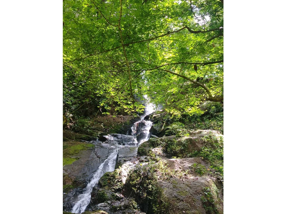 VENTA DE FINCA CERCA DE BOQUETE, 27 H + 6700 m2 — foto 4