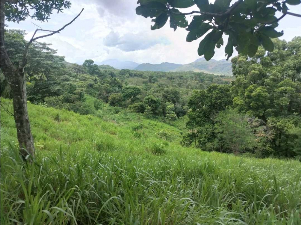 VENTA DE FINCA CERCA DE BOQUETE, 27 H + 6700 m2 — foto 5