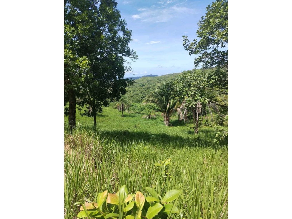 VENTA DE FINCA CERCA DE BOQUETE, 27 H + 6700 m2 — foto 6