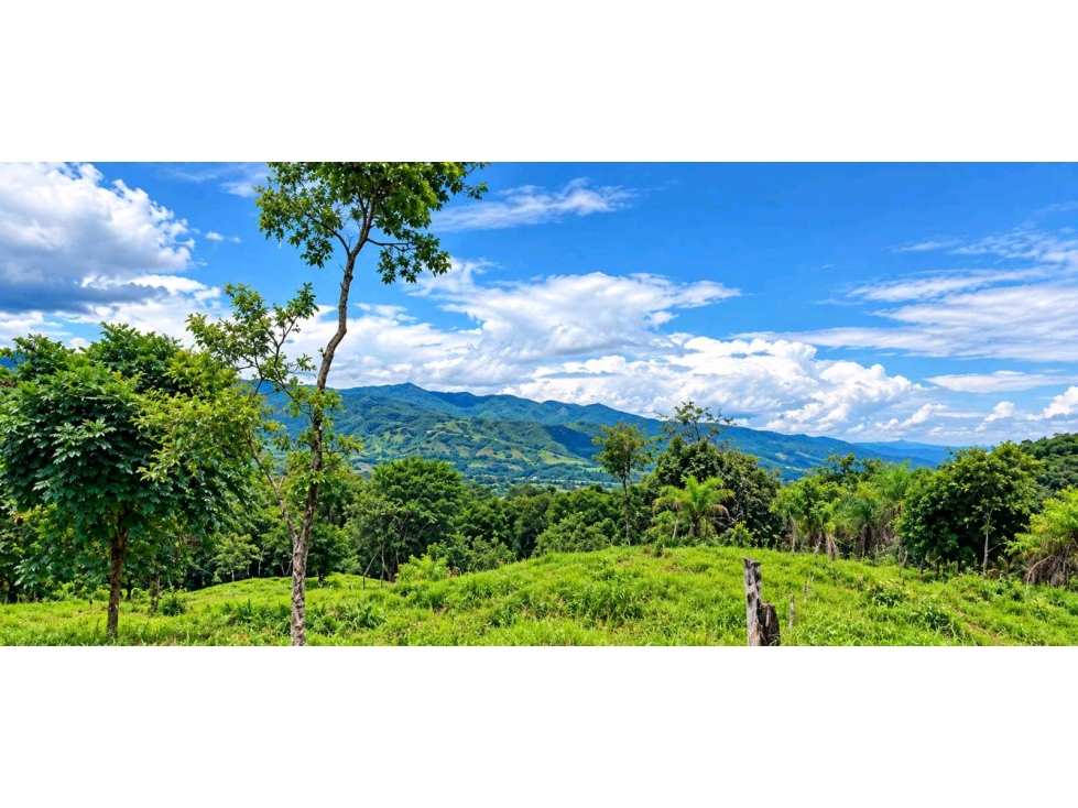 VENTA DE FINCA CERCA DE BOQUETE, 27 H + 6700 m2