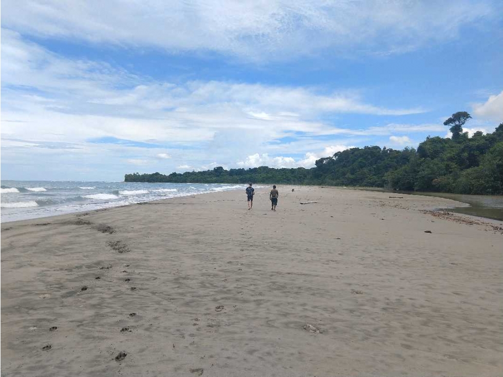 VENTA DE FINCA CERCA DE CALOVÉBORA, UN PARAISO ESCONDIDO 27 HECTÁREAS - 2