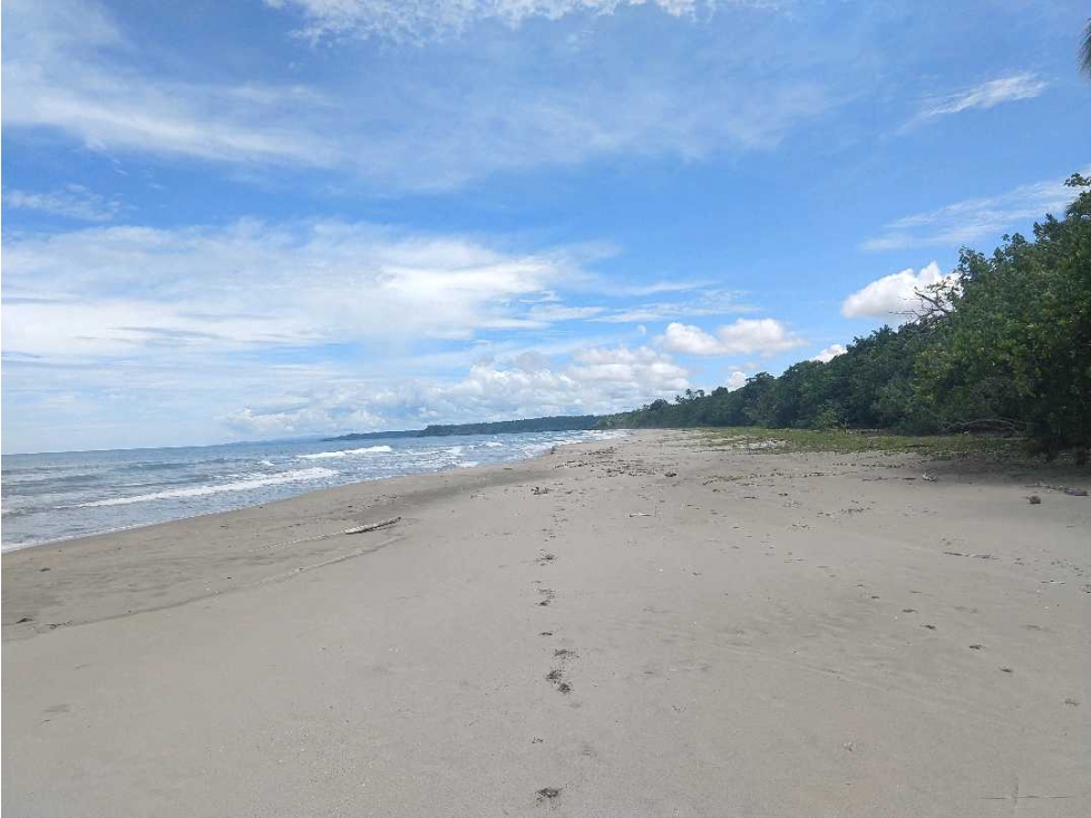 VENTA DE FINCA CERCA DE CALOVÉBORA, UN PARAISO ESCONDIDO 27 HECTÁREAS - 3