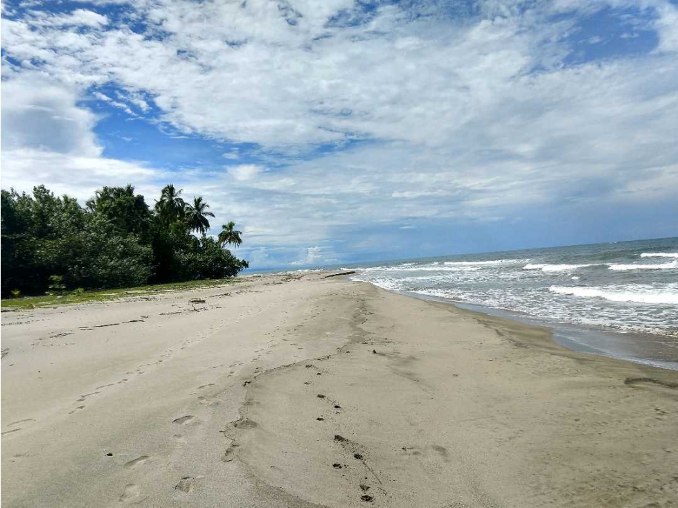 VENTA DE FINCA CERCA DE CALOVÉBORA, UN PARAISO ESCONDIDO 27 HECTÁREAS - 5