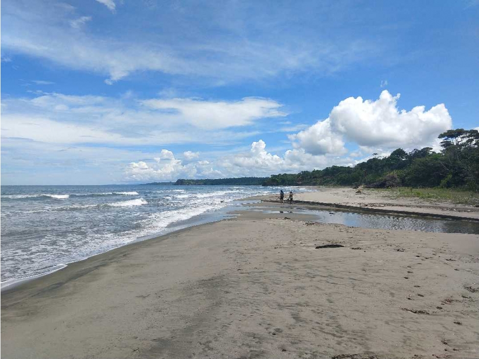 VENTA DE FINCA CERCA DE CALOVÉBORA, UN PARAISO ESCONDIDO 27 HECTÁREAS - 6