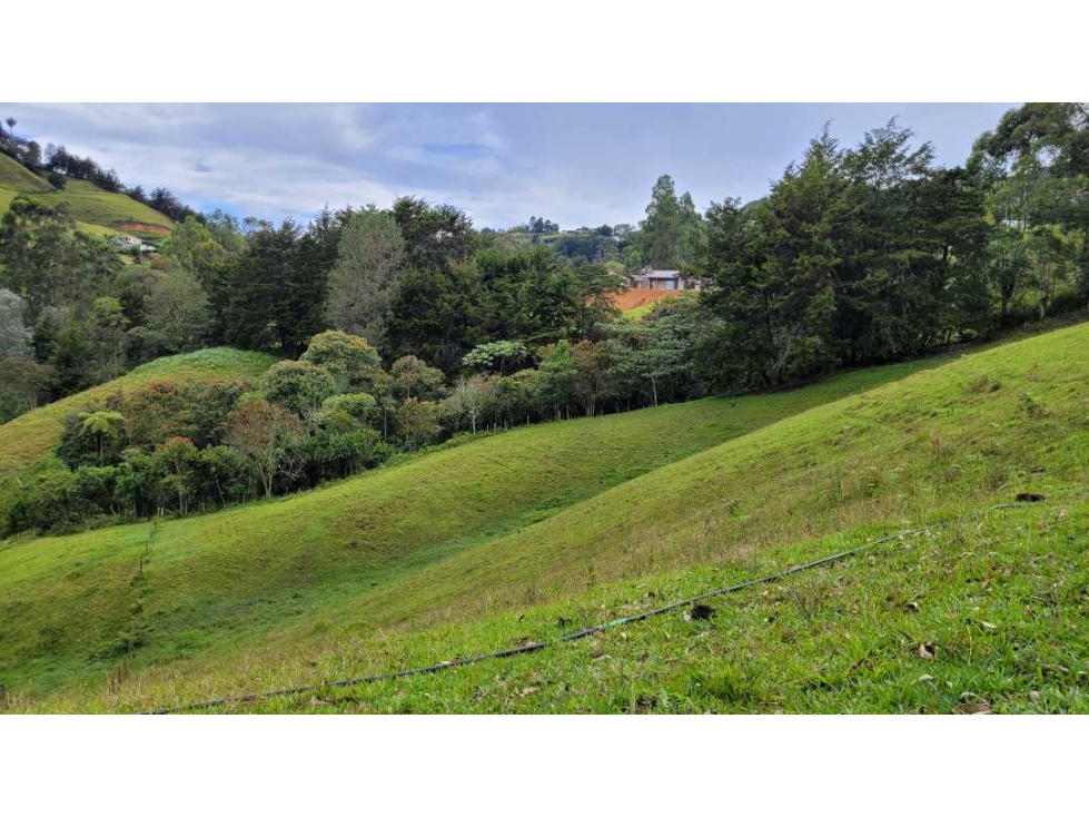 Venta de Terreno con 3 Matriculas Ubicado en Rionegro El Higuerón - 2