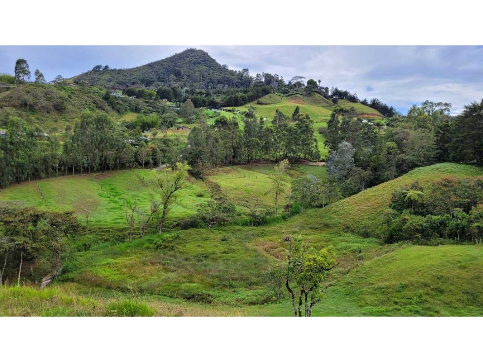 Venta de Terreno con 3 Matriculas Ubicado en Rionegro El Higuerón - 1