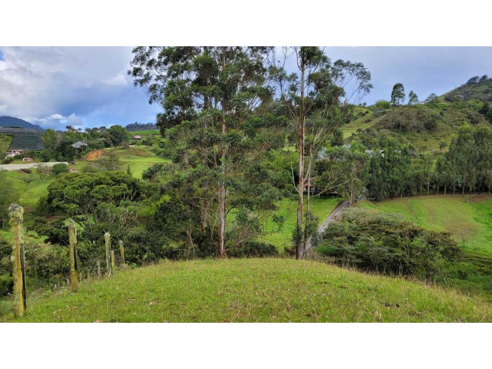 Venta de Terreno con 3 Matriculas Ubicado en Rionegro El Higuerón - 5