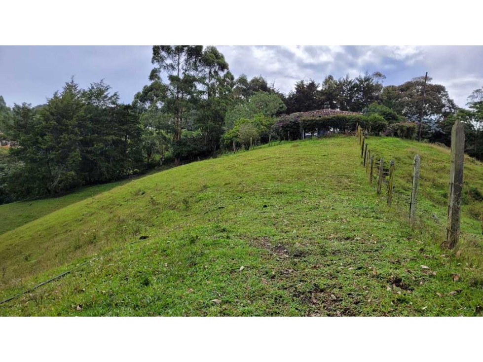 Venta de Terreno con 3 Matriculas Ubicado en Rionegro El Higuerón - 4