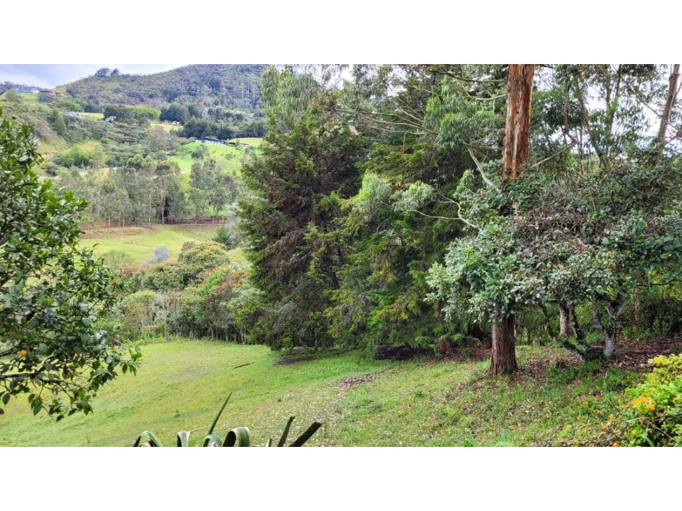 Venta de Terreno con 3 Matriculas Ubicado en Rionegro El Higuerón - 3