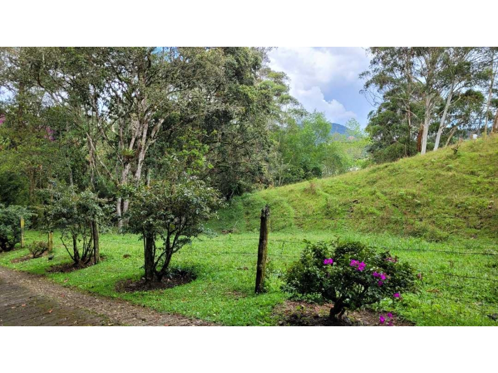 Venta de Terreno con 3 Matriculas Ubicado en Rionegro El Higuerón - 6