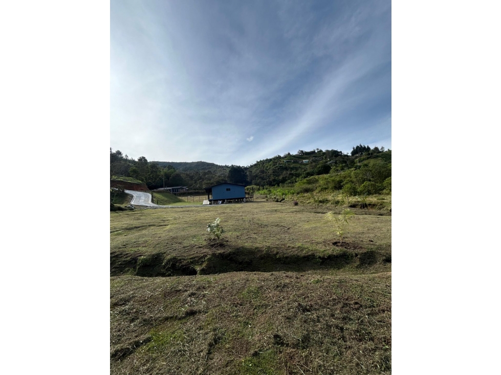VENTA DE FINCA CON CASA NUEVA EN RIONEGROVEREDA LA MOSQUITA — foto 6