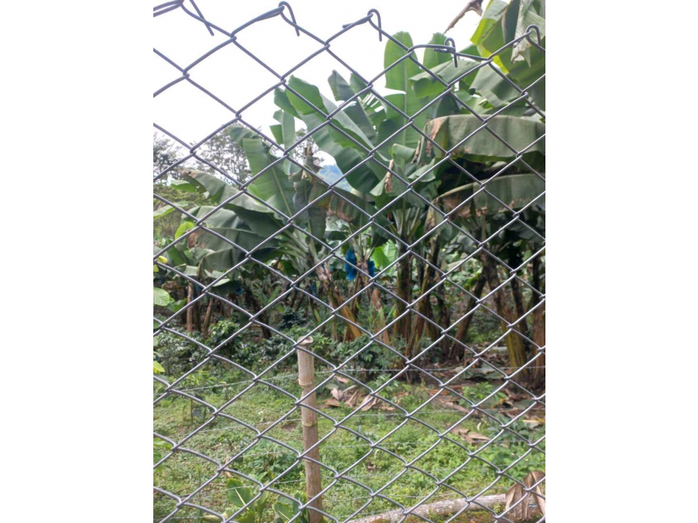 VENTA DE FINCA CORDOBA QUINDIO - 5