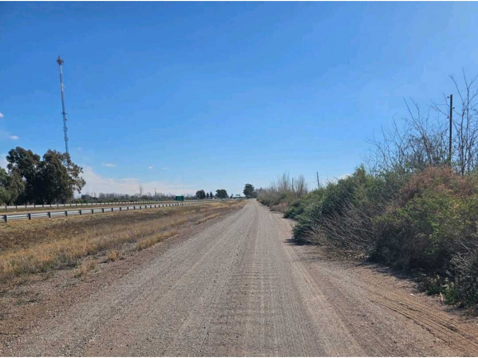VENTA DE FINCA DE 13 HAS SOBRE RUTA 7, EN LA DORMIDA, SANTA ROSA-MZA. - 2