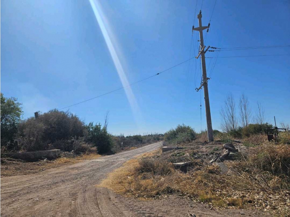 VENTA DE FINCA DE 13 HAS SOBRE RUTA 7, EN LA DORMIDA, SANTA ROSA-MZA. - 3