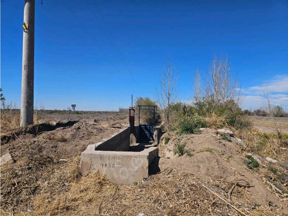 VENTA DE FINCA DE 13 HAS SOBRE RUTA 7, EN LA DORMIDA, SANTA ROSA-MZA. - 4