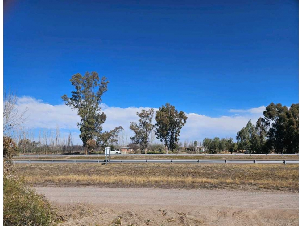 VENTA DE FINCA DE 13 HAS SOBRE RUTA 7, EN LA DORMIDA, SANTA ROSA-MZA. - 5