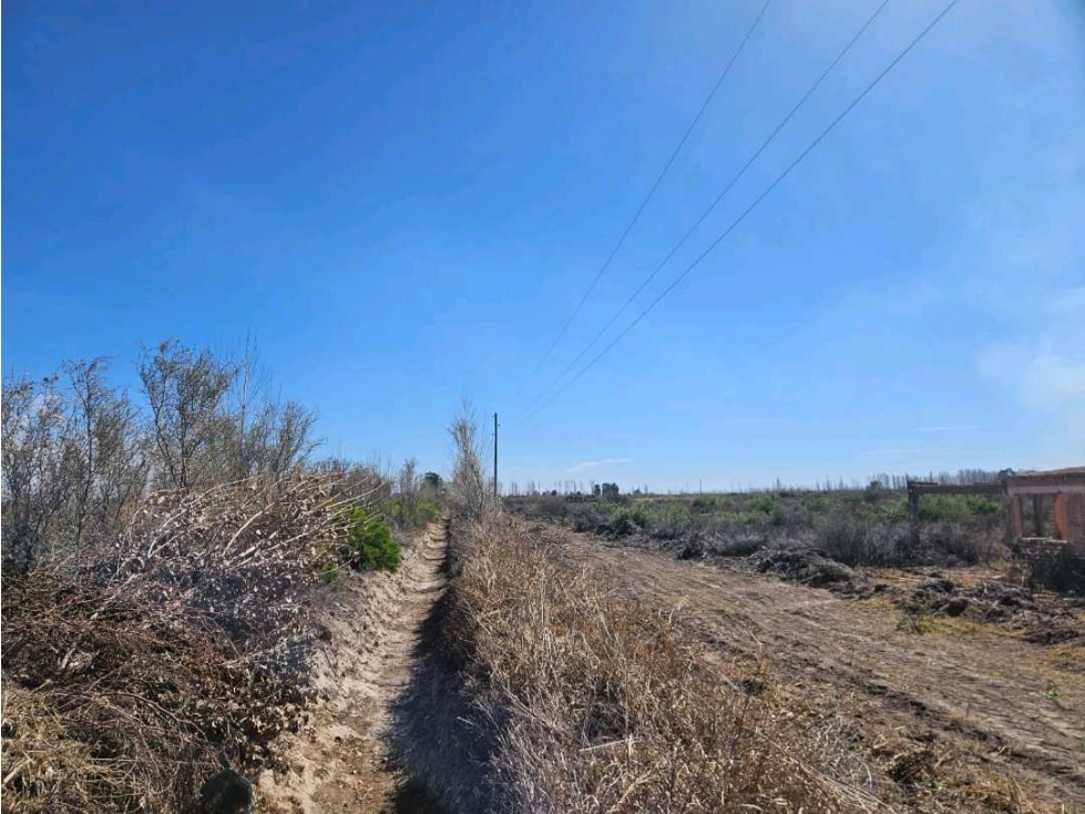 VENTA DE FINCA DE 13 HAS SOBRE RUTA 7, EN LA DORMIDA, SANTA ROSA-MZA. - 6