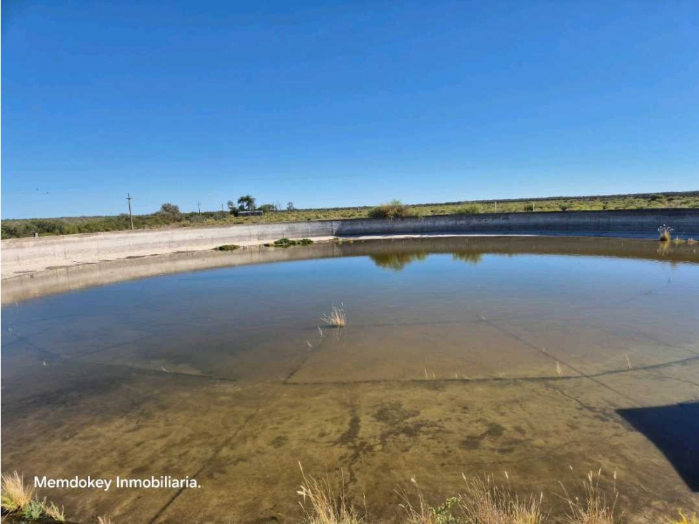 VENTA DE FINCA DE 177 HAS EN EL MARCADO, SANTA ROSA - 4