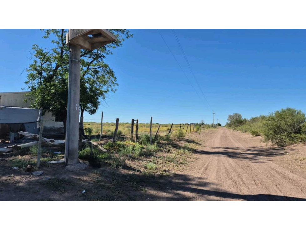 VENTA DE FINCA DE 177 HAS EN EL MARCADO, SANTA ROSA - 6