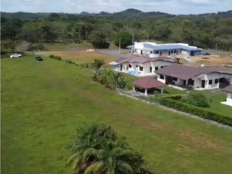 Venta de finca de 4ha + 1,903m2 en Montijo, Veraguas (DR) - 4