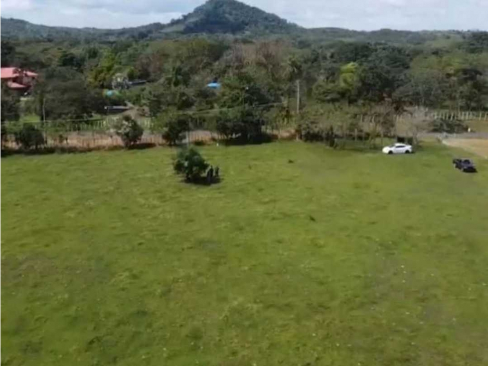 Venta de finca de 4ha + 1,903m2 en Montijo, Veraguas (DR) - 5
