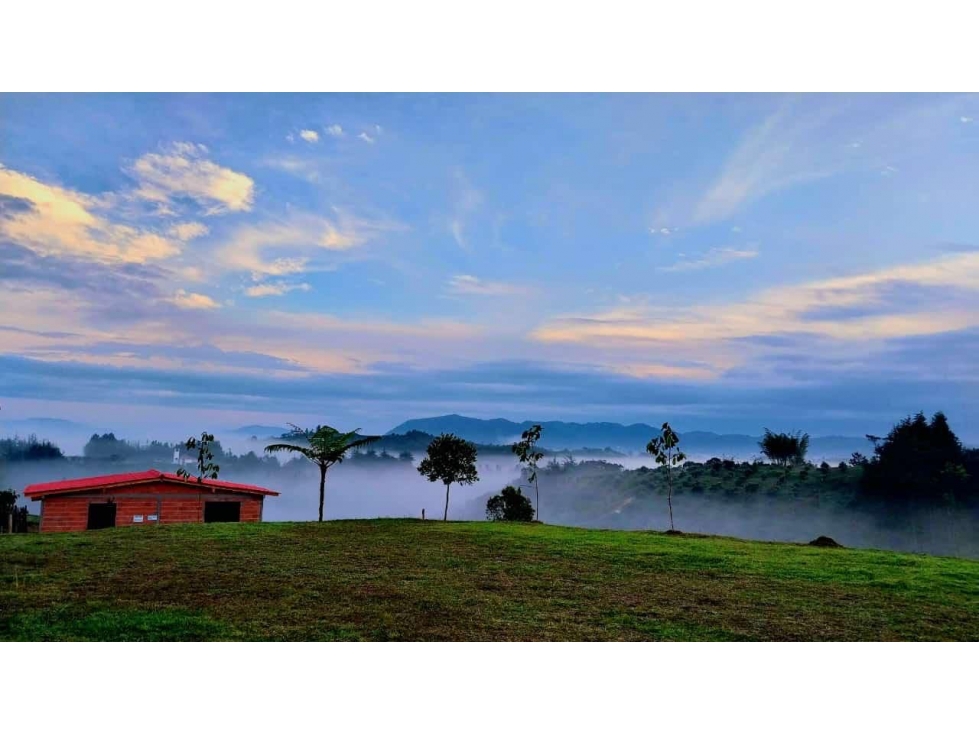 Venta de FINCA de AGUACATES Hass en San Vicente Ferrer