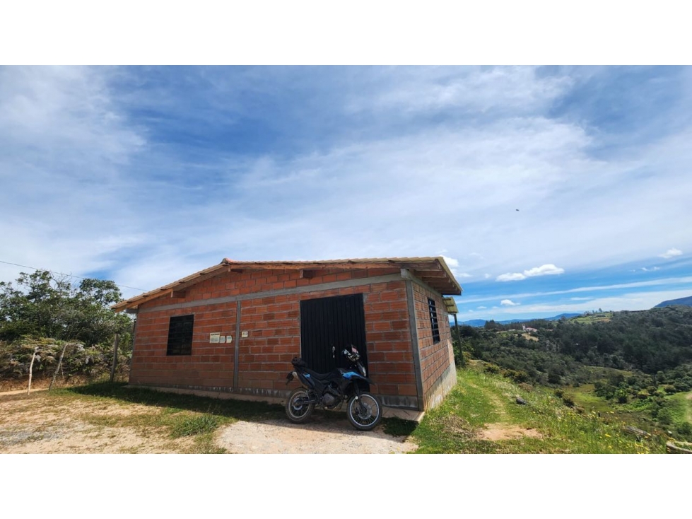 Venta de FINCA de AGUACATES Hass en San Vicente Ferrer — foto 3