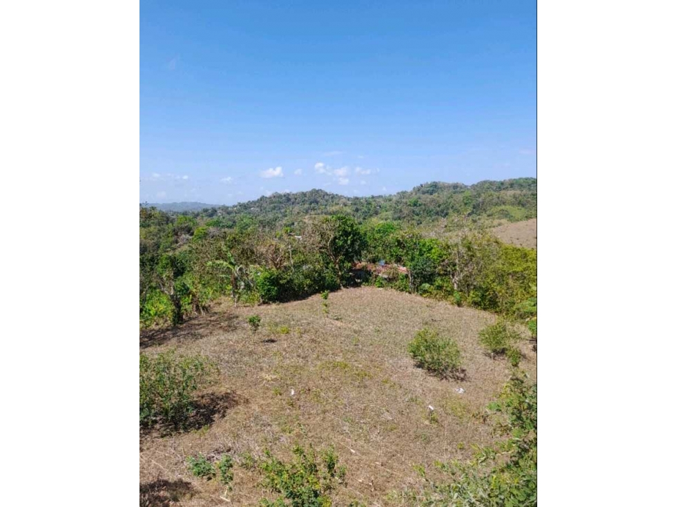 Venta de finca en Alcalde Díaz, Panamá.Cod-J133 - 1