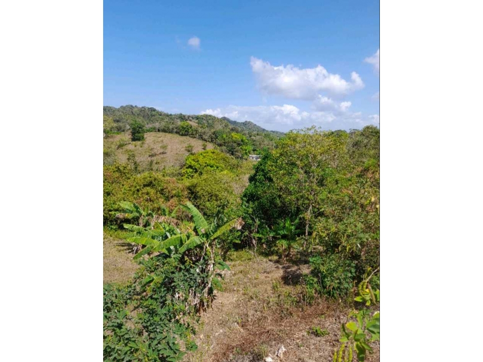 Venta de finca en Alcalde Díaz, Panamá.Cod-J133 - 2