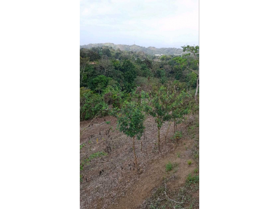 Venta de finca en Alcalde Díaz, Panamá.Cod-J133 - 3