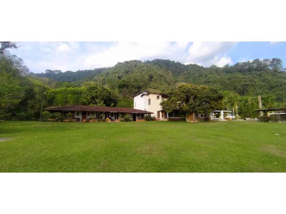 VENTA DE FINCA EN AMAGÁ. SUROESTE ANTIOQUEÑO - 5