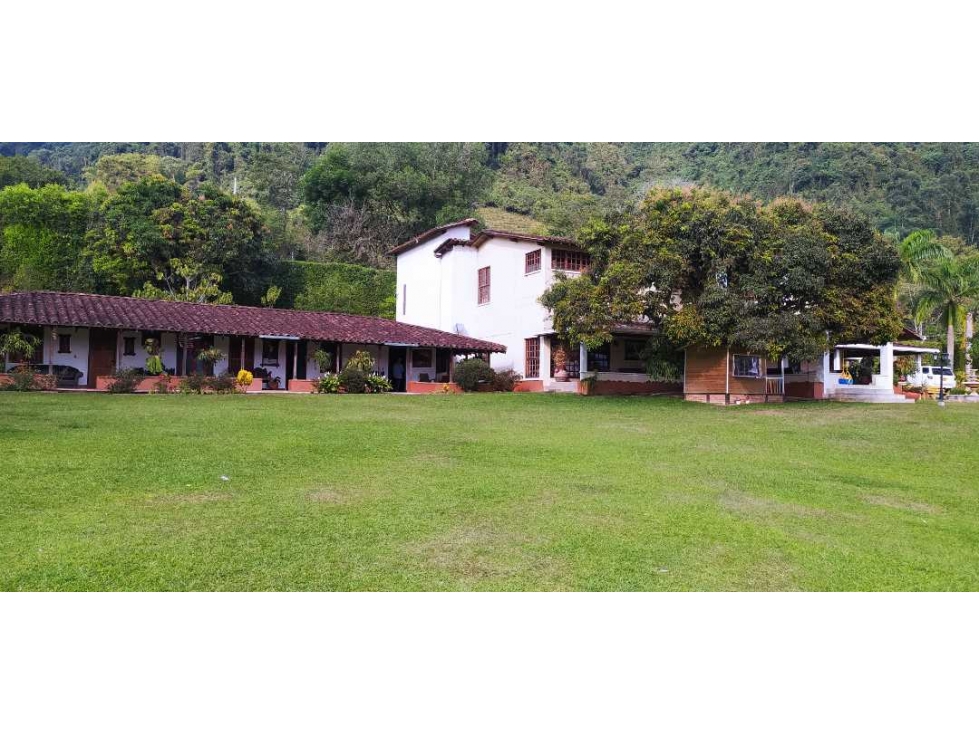 VENTA DE FINCA EN AMAGÁ. SUROESTE ANTIOQUEÑO - 6