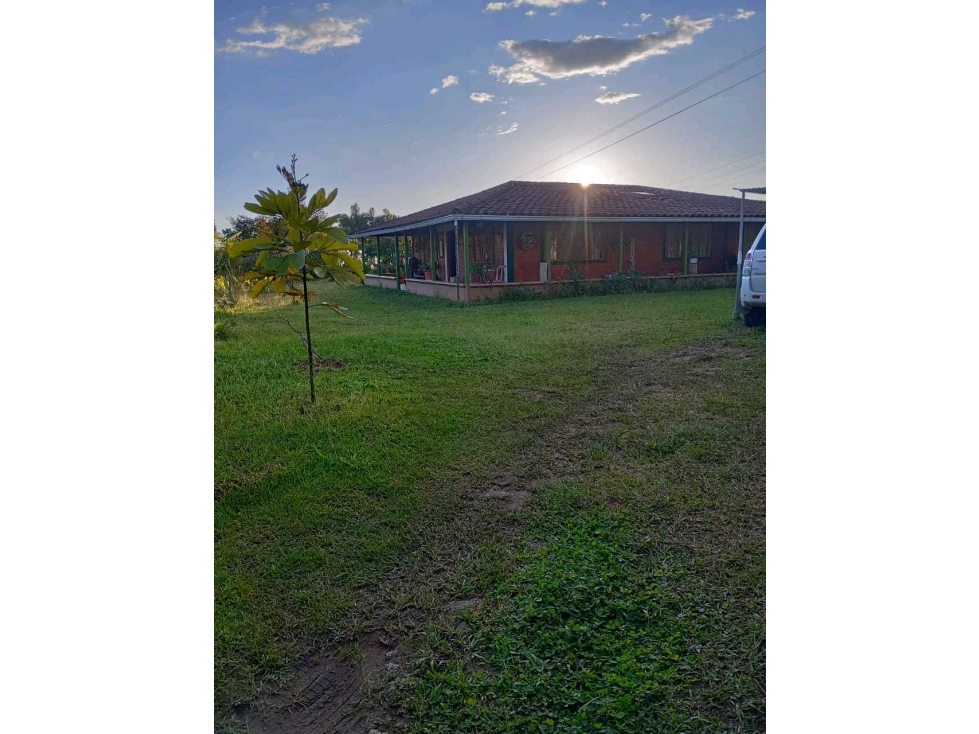 VENTA DE FINCA EN EL QUINDIO . Filandia