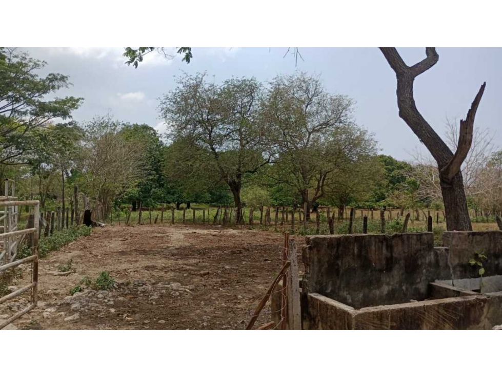 VENTA DE FINCA EN BAYUNCA BOLIVAR - 2