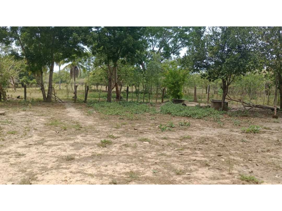 VENTA DE FINCA EN BAYUNCA BOLIVAR - 1