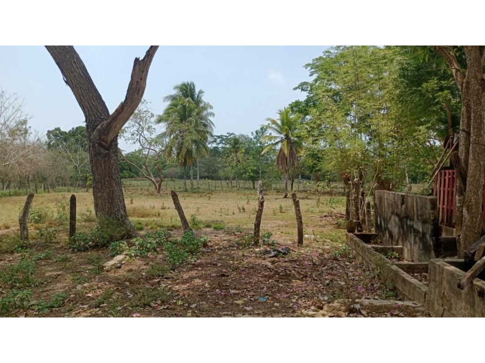 VENTA DE FINCA EN BAYUNCA BOLIVAR - 6