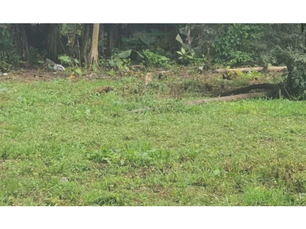 VENTA DE FINCA EN BUGABA 1,407 METROS - 1