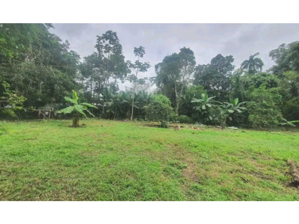 VENTA DE FINCA EN BUGABA 1,407 METROS - 2