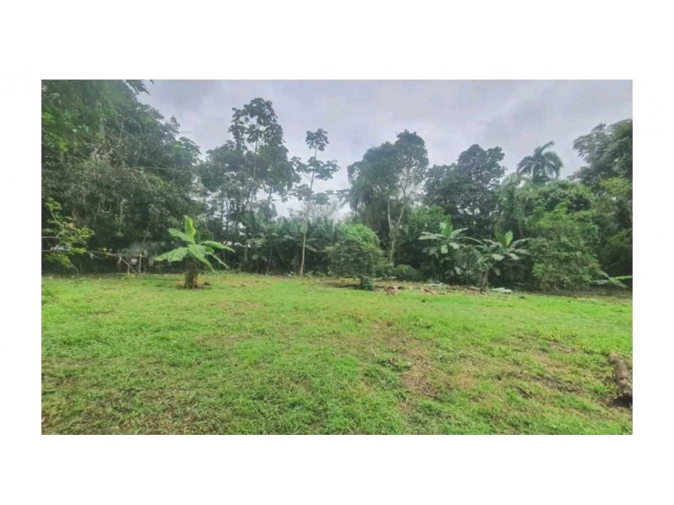 VENTA DE FINCA EN BUGABA 1,407 METROS - 3