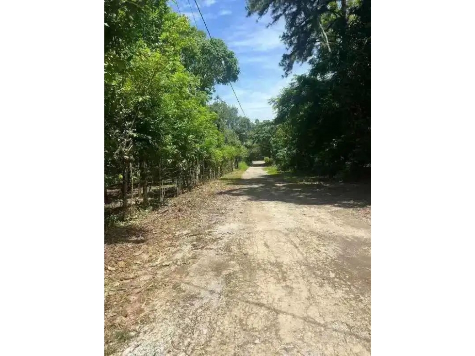 VENTA DE FINCA EN CALZADA LARGA CAIMITILLO - 2