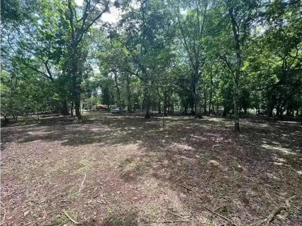 VENTA DE FINCA EN CALZADA LARGA CAIMITILLO - 4