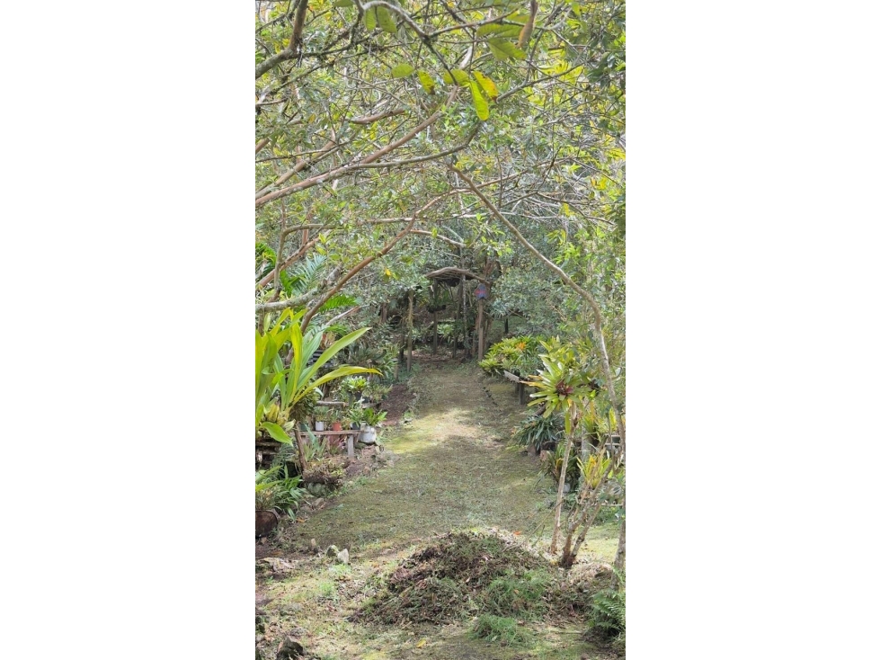 Venta de finca en ceja la unión