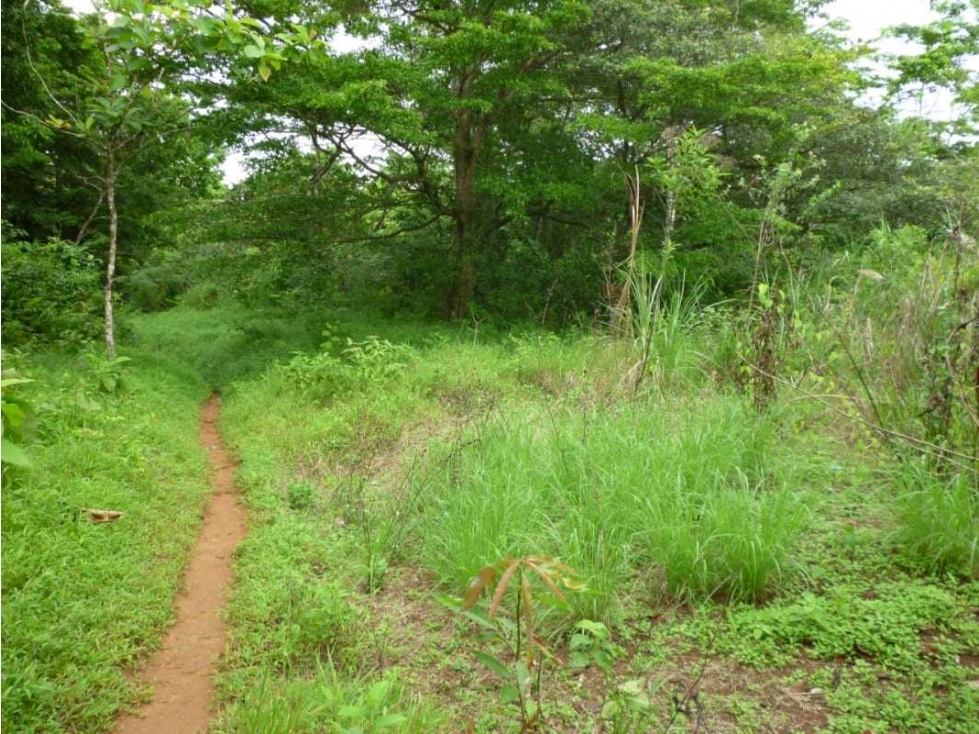 VENTA DE FINCA EN COLON EN ESCOBAL COSTA ABAJO DE PROVINCIA DE COLON - 4