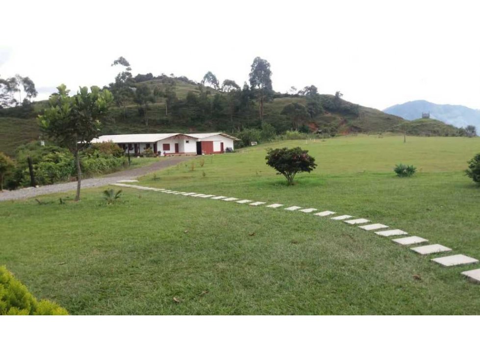 Venta finca Concordia con 44 cuadras y 2.000 palos de aguacate - 1