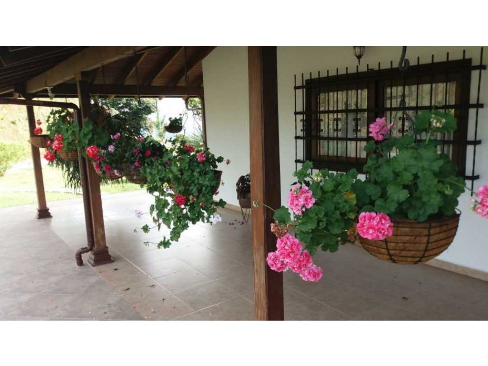 Venta finca Concordia con 44 cuadras y 2.000 palos de aguacate - 2