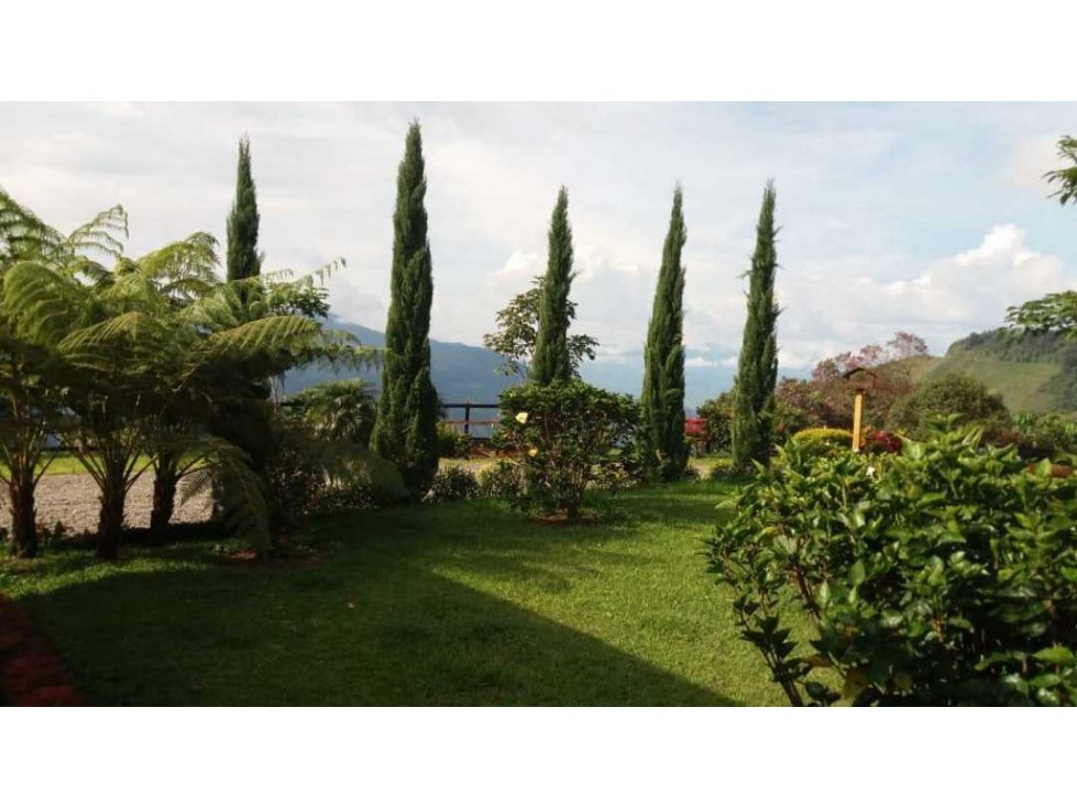 Venta finca Concordia con 44 cuadras y 2.000 palos de aguacate - 3
